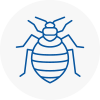 Bed Bug Extermination In Carlton