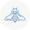 Bee Nest Removal Carlton