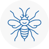 Carlton Hornet Nest Removals