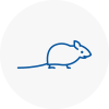 Mice Exterminators In Carlton