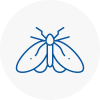 Moth Control Specialists In Carlton