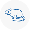 Rat Control Carlton
