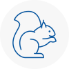 Carlton Rodent Removals